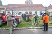 Kirtagbaum der Ratschen Buam, 11.11.2016