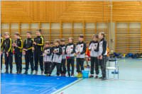 Ringen: sterr. Schlermeisterschaft 2019 im Freistil, 26.05.2019