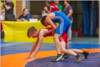 Ringen: sterr. Schlermeisterschaft 2019 im Freistil, 26.05.2019