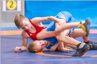 Ringen: sterr. Schlermeisterschaft 2019 im Freistil, 26.05.2019
