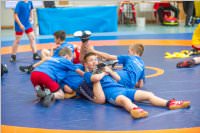 Ringen: sterr. Schlermeisterschaft 2019 im Freistil, 26.05.2019