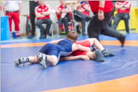 Ringen: sterr. Schlermeisterschaft 2019 im Freistil, 26.05.2019