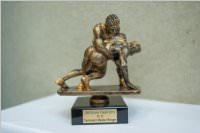 Ringen: sterr. Schlermeisterschaft 2019 im Freistil, 26.05.2019