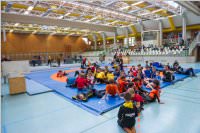 Ringen: sterr. Schlermeisterschaft 2019 im Freistil, 26.05.2019