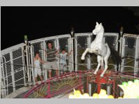 seefest12_170.jpg