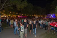 Neufelder Seefest, 08. - 09.07.2016