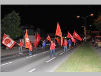 spoe_fackelzug12_055.jpg