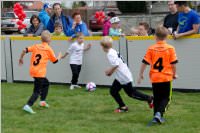 SP Familienfest in Neufeld, 01.05.2015