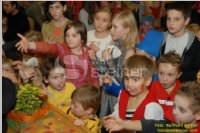 SPOe Kindermaskenball, 25.01.2009