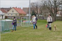 Groe Ostereiersuche mit der SP Neufeld, 26.03.2016