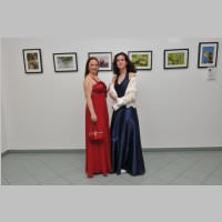 stadtball11_damen_10.jpg
