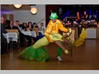 15. Stadtball in Neufeld, 11.01.2014