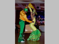 15. Stadtball in Neufeld, 11.01.2014