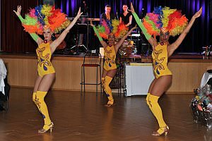 15. Stadtball in Neufeld, 11.01.2014