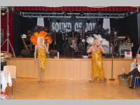 16. Stadtball in Neufeld, 10.01.2015