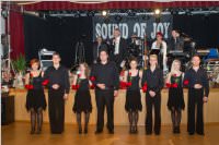 17. Stadtball in Neufeld, 09.01.2016