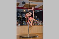 17. Stadtball in Neufeld, 09.01.2016