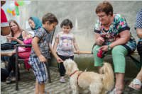 Tag der offenen Tr bei afghanischen Familien, 02.09.2016