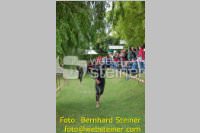Triathlon: 23. TRI-Neufeld, 20.06.2010