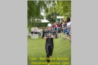 Triathlon: 23. TRI-Neufeld, 20.06.2010