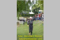 Triathlon: 23. TRI-Neufeld, 20.06.2010