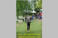 Triathlon: 23. TRI-Neufeld, 20.06.2010