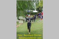 Triathlon: 23. TRI-Neufeld, 20.06.2010