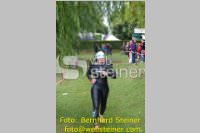 Triathlon: 23. TRI-Neufeld, 20.06.2010