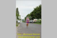 Triathlon: 23. TRI-Neufeld, 20.06.2010