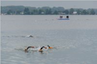 29. Triathlon in Neufeld: Fun Sprint, 11.06.2016