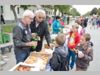 Autofreier Tag in Neufeld, 22.09.2014