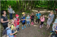 VS: Lehrausgang Auweg, 08.06.2016