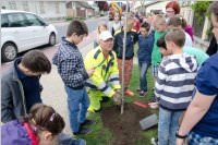 VS Neufeld: Baumpflanzung am Tag der Sonne, 08.05.2015
