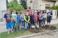 VS Neufeld: Baumpflanzung am Tag der Sonne, 08.05.2015