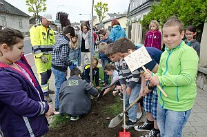 VS Neufeld: Baumpflanzung am Tag der Sonne, 08.05.2015