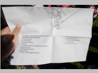 VS Neufeld 3. Klassen in Eisenstadt, 18.06.2014