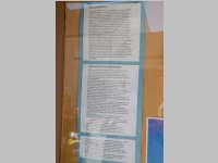 VS Neufeld 3. Klassen in Eisenstadt, 18.06.2014