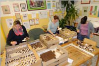 Keksebacken der VS Neufeld, 24.11.2015