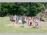 VS Neufeld am Keltenfest, 16.06.2014