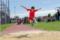 Kids-Olympiade der VS Neufeld, 21.06.2016