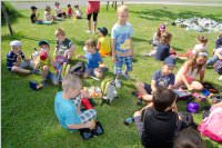 VS: Wunderwelt Energie in Lackenbach, 10.06.2015