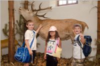 VS: Wunderwelt Energie in Lackenbach, 10.06.2015