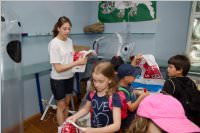 VS: Wunderwelt Energie in Lackenbach, 10.06.2015