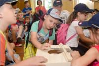 VS: Wunderwelt Energie in Lackenbach, 10.06.2015