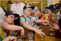 VS: Wunderwelt Energie in Lackenbach, 10.06.2015