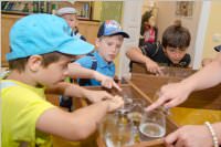 VS: Wunderwelt Energie in Lackenbach, 10.06.2015