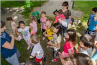 VS Neufeld: Lesepicknick der 1A am Leithaspielplatz, 14.06.2016