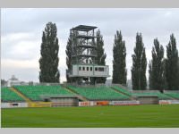 Volksschler beim Match Mattersburg vs. Liefering, 20.09.2013