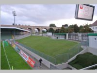 Volksschler beim Match Mattersburg vs. Liefering, 20.09.2013