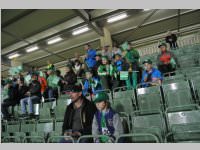 Volksschler beim Match Mattersburg vs. Liefering, 20.09.2013